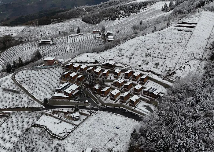 Magmat & טראבזון