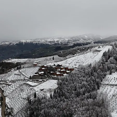 Magmat & 4* Trabzon