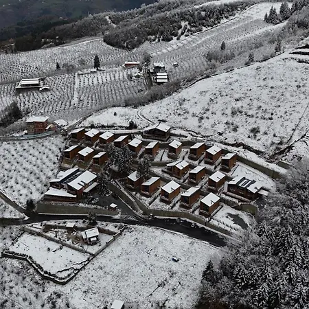 Magmat & ترابزون