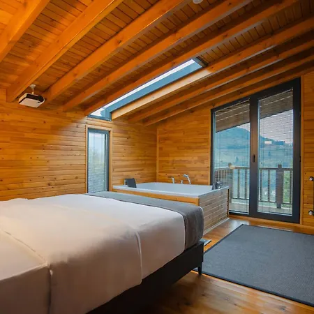 Magmat & ترابزون